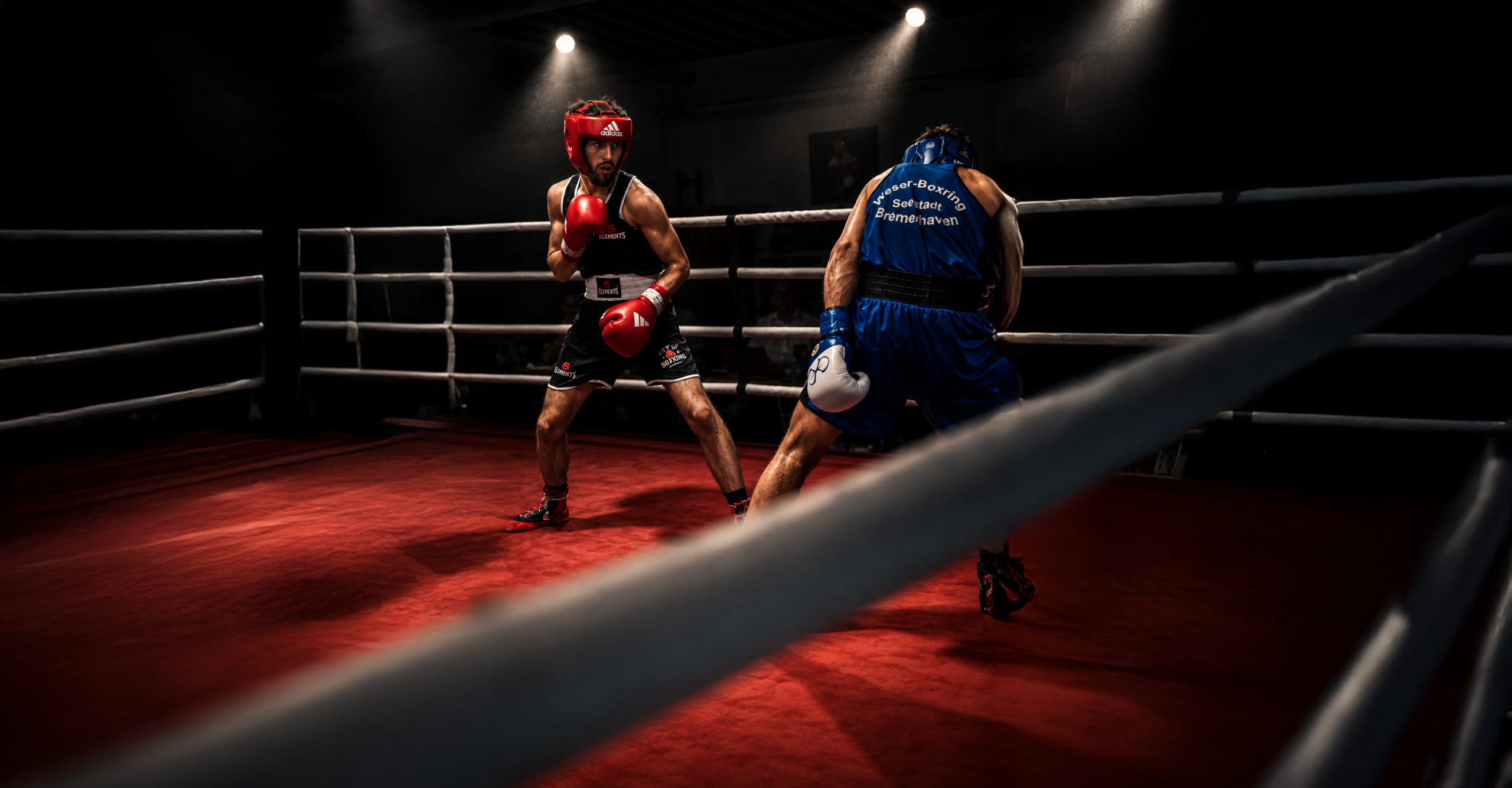 Gym Fights
